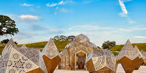 Patterns in Nature: The Art of HYBYCOZO (Daytime Viewing)