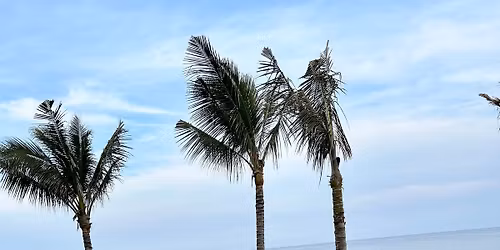 Chatham Head Old Timers Great Escape