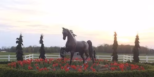 Horses, Hats & Hospice - 3rd Annual Kentucky Derby Gala