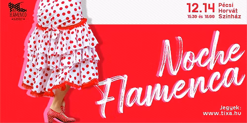 Noche Flamenca 2025. 