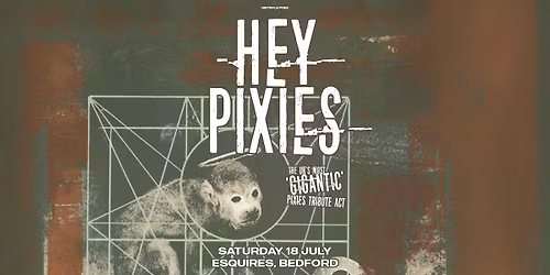 HEY PIXIES (Pixies Tribute Band) Sat 18th July, Bedford Esquires