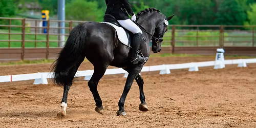 Flight For Independence Show