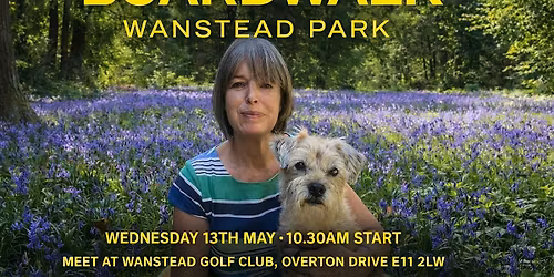 Agents Boardroom Boardwalk