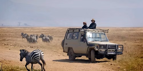 Tanzania Uncovered: Wildlife of the Serengeti & Ngorongoro Crater