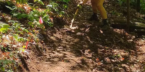 Hoosier Hikers Council presents:  Trail Building at Yellow Birch Ravine