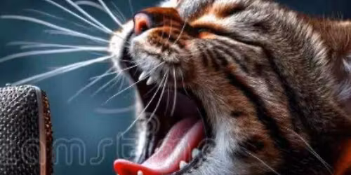 Karaoke and bonfire on the river