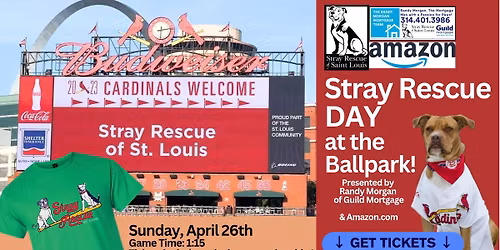 Stray Rescue Day at the Ballpark! Presented by The Randy Morgan Mortgage Team & Amazon
