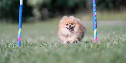 PLNO - Happy Hoop II. \ud83d\udc3e p\u0159\u00edpravka s Monikou N\u011bmcovouw