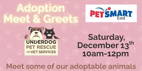 Adoptable Pets at Petsmart Madison East!