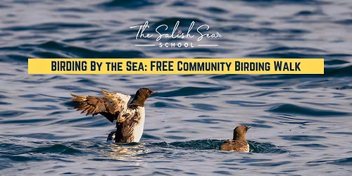 Birding by the Sea: FREE Community Birding Walk