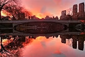 DC\u2019s Central Park Sunset History Walk\/Tavern On The Green
