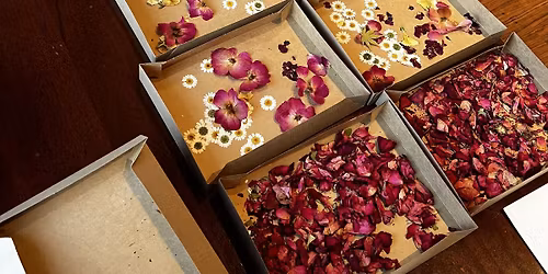 The Art & History of Pressed Flowers
