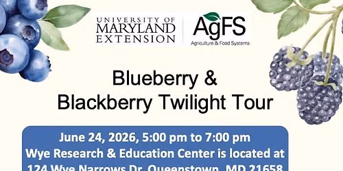 Blueberry & Blackberry Twilight Tour