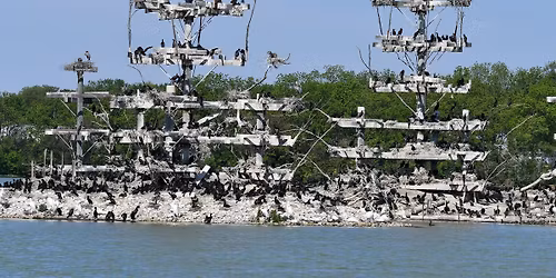 Lake Renwick Migratory Bird Viewing