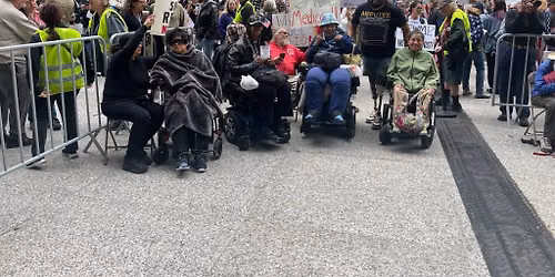 Chicago ADAPT Picnic