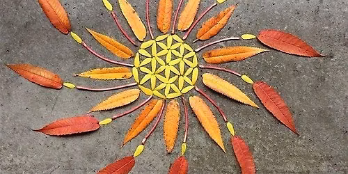 LJMU Wellbeing Garden: Natural Arts and Crafts