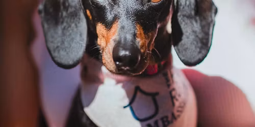 November mini meet (Valerie tribute)