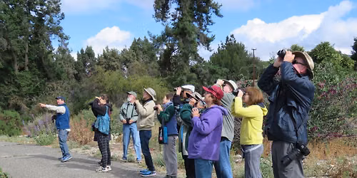 Sunday, June 7, 2026 First Sunday of the Month Family Friendly Bird Walk