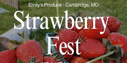 Strawberry Fest at Emily's 