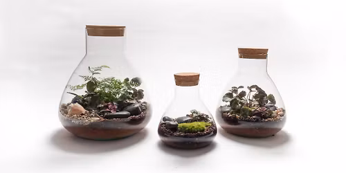 Terrarium Building Appointments