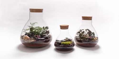 Terrarium Building Appointments