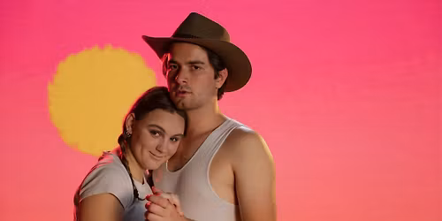 Bush Chook - Summer Nights