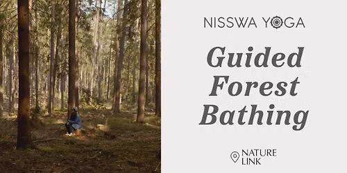 Guided Forest Bathing