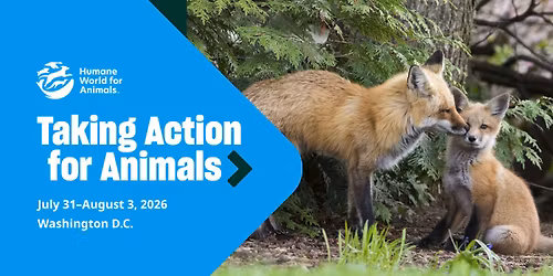 Taking Action for Animals 2026
