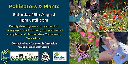 TCV Pollinators & Plants
