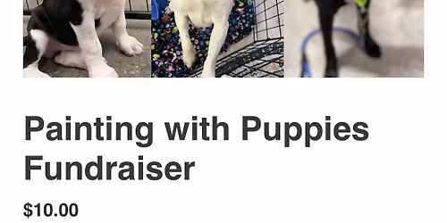 Pottery & Painting with Puppies at Imagination Pottery Studio