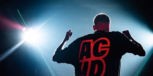 VCL, JAAX, ANDUJ, Malerba, Lucile Cordova, Tetris Owl in Montpellier