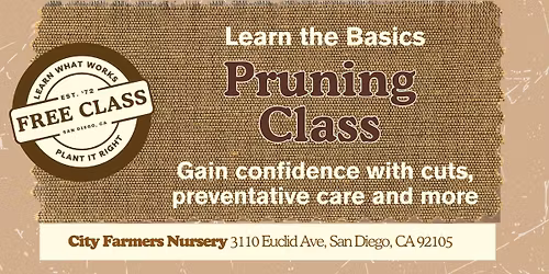Pruning Class \u2702\ufe0f\ud83c\udf33
