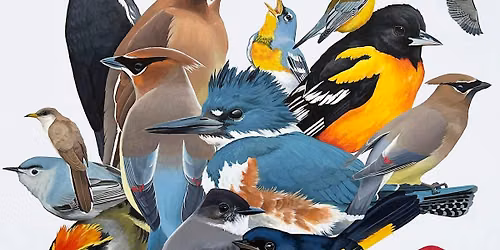 REMEMBER ME: MUSING ON BIRDS by Zia Daugherty