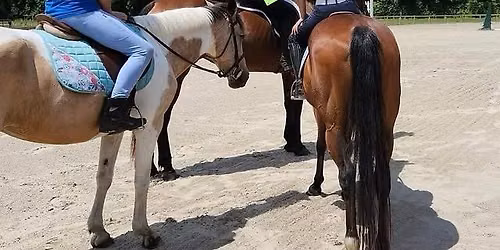 Horse Summer Camp!