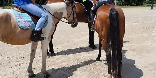 Horse Summer Camp! 