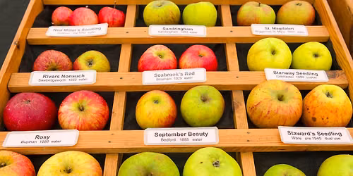 Apple Day 2026