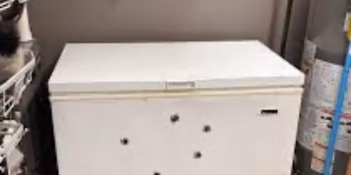 I Shot 6 Holes in My Freezer 2026