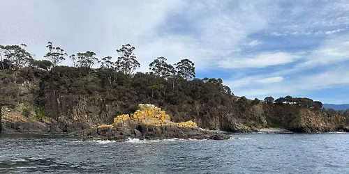 MEGA MARKET - Rotary Club of Kingston