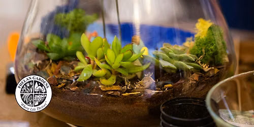Tropical Terrarium Workshop