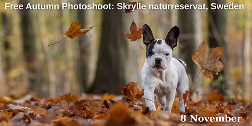 Trial autumn photoshoot in Skrylle naturreservat