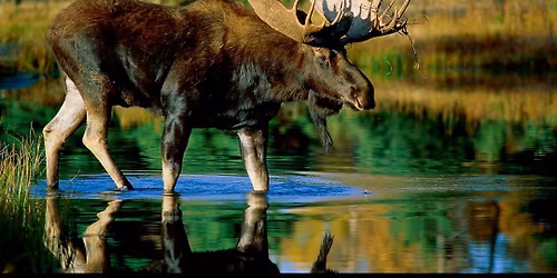 Local Boy Timmy @ Stephens City Moose Lodge