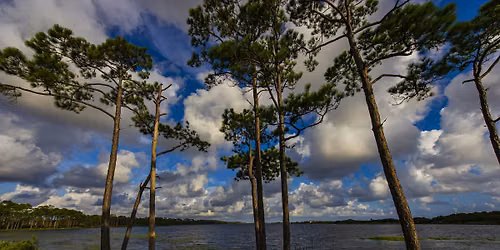 Coastal Dune Lake Native Plant Tour
