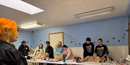 PetSaver CPR\/First Aid Class 8 hour