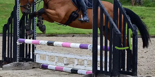 Course jumping with Alycia Port - Felbridge