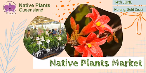 Gold Coast Native Plants Market