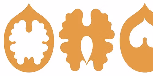 Practica in psihologie