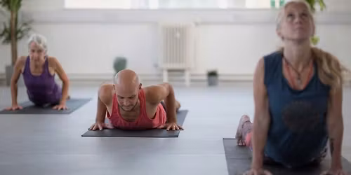 Beginners Yoga Course: Level 1