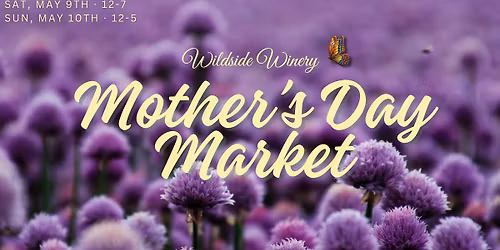 five below band at  Mother\u2019s Day Market at Wildside Winery