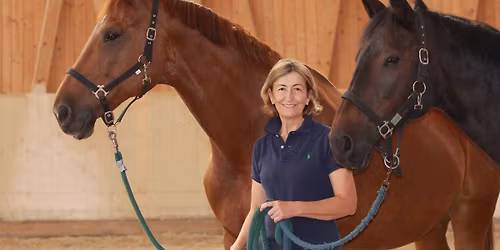 Grundkurs Viszerale Osteopathie f\u00fcr Pferde