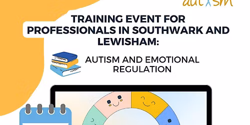 Professionals  'Autism and emotional regulation' training